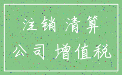 注销公司国税要不要税审