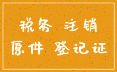 注销公司去国税局带什么