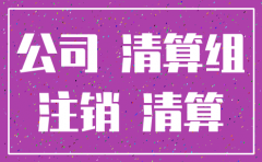 小公司注销清算方案范本