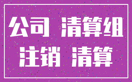 公司 清算组_注销 清算