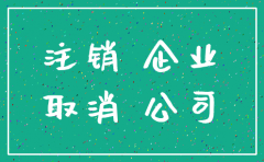 云南省公司简易注销条件