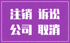 公司注销程序违法